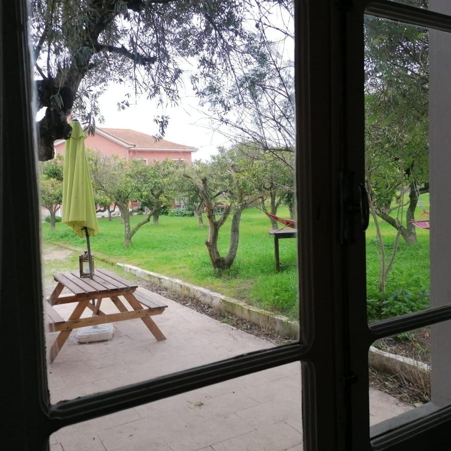 Casa Das Laranjeiras E Parque Infantil Azeitão Eksteriør billede