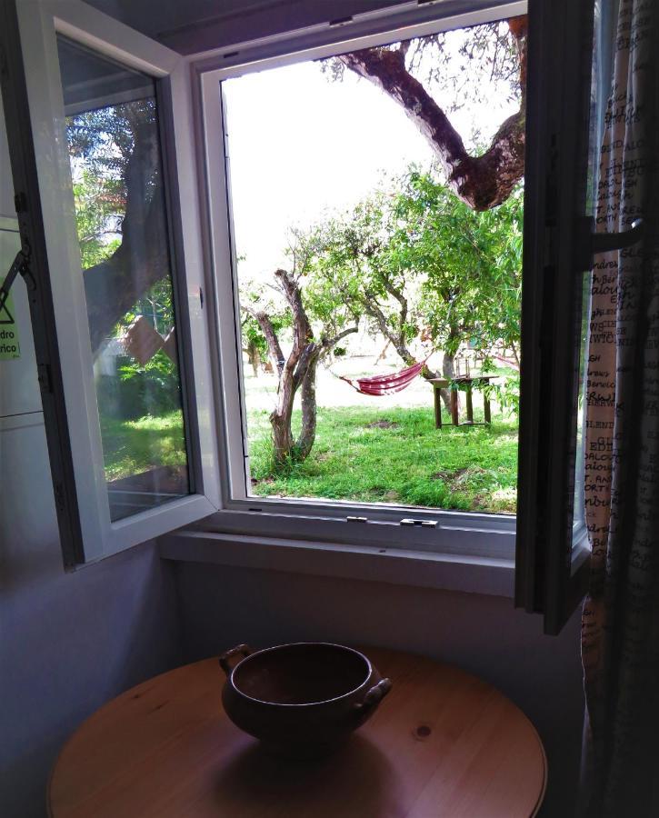 Casa Das Laranjeiras E Parque Infantil Azeitão Eksteriør billede